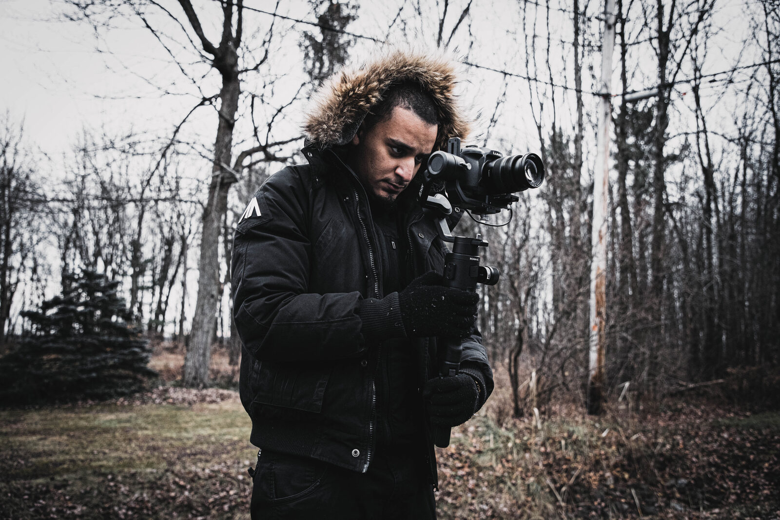 Wolf operating a gimbal in a winter forest