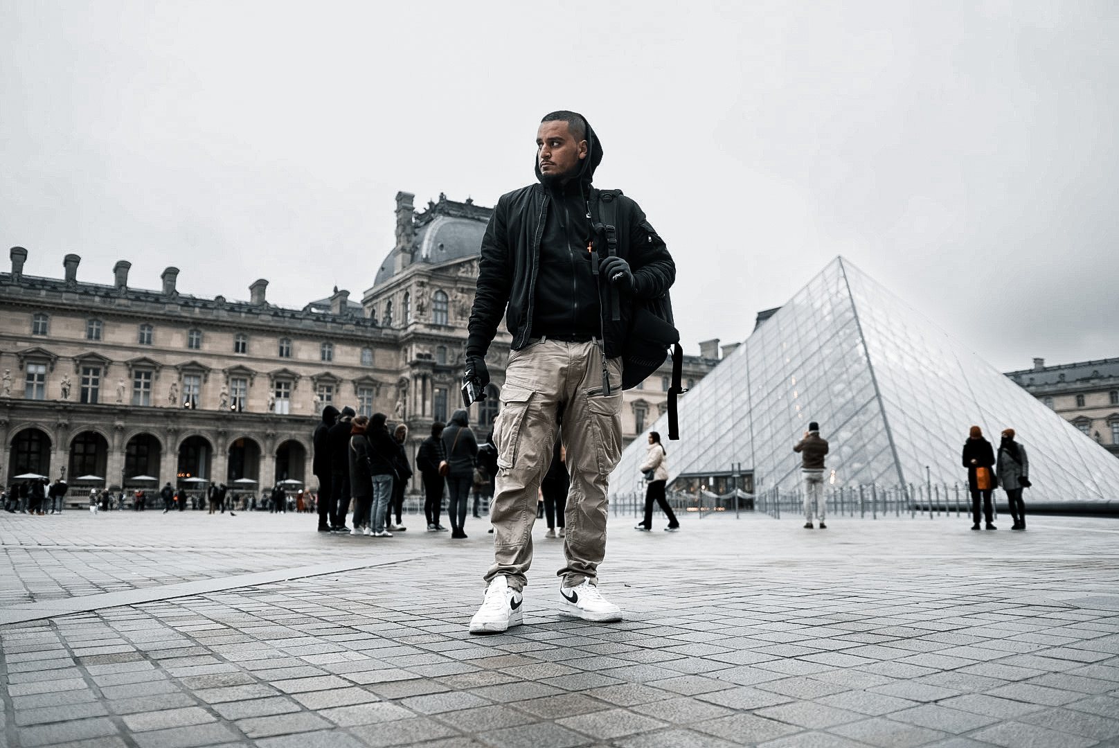 Wolf walking past the Louvre pyramid