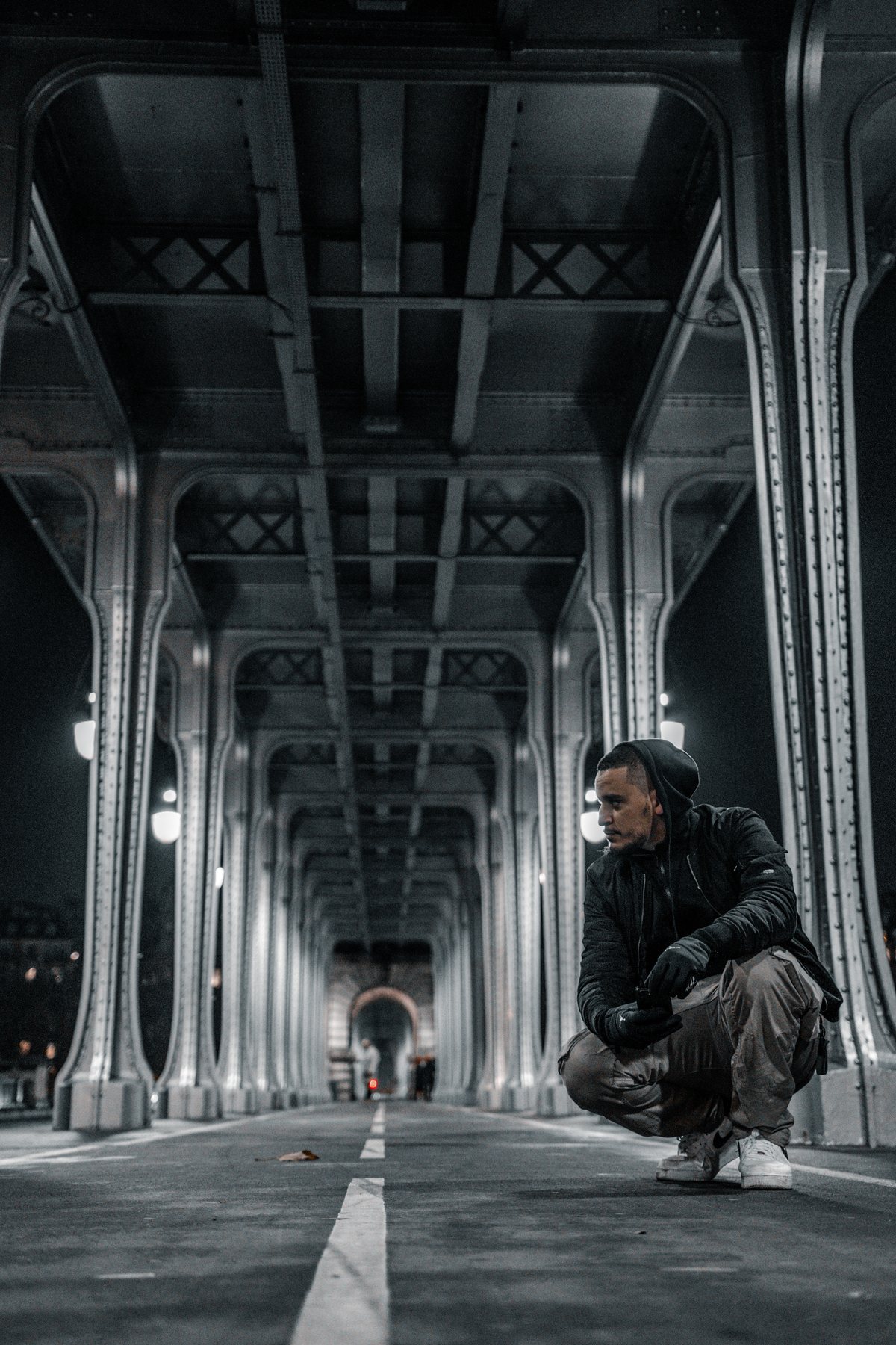 Wolf crouched under the steel arches of a Paris bridge