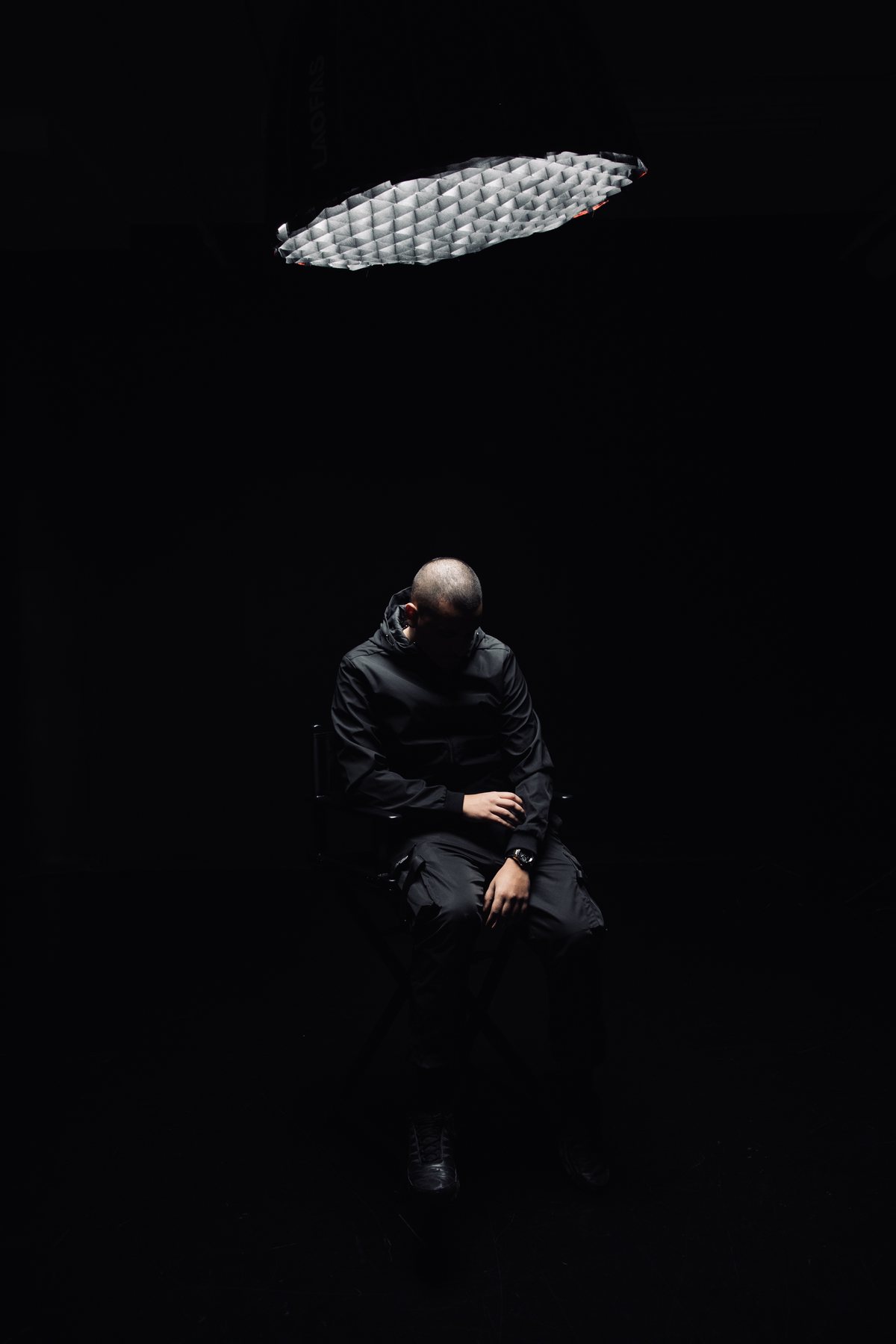 Wolf seated alone under a single overhead light